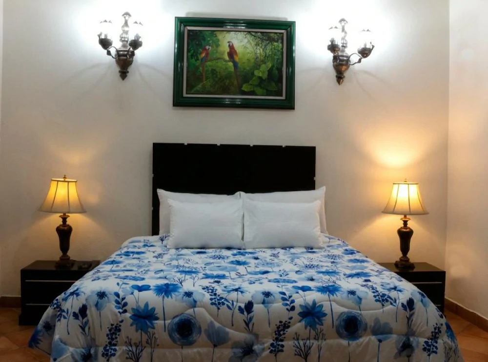 Habitación con jacuzzi en hotel casa-alebrijes-gay en Guadalajara, Jalisco