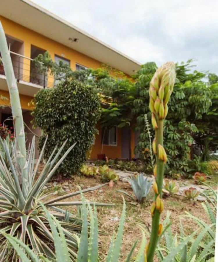 Habitación con jacuzzi en hotel guiva-san-pablo en Hacienda Blanca, Oaxaca