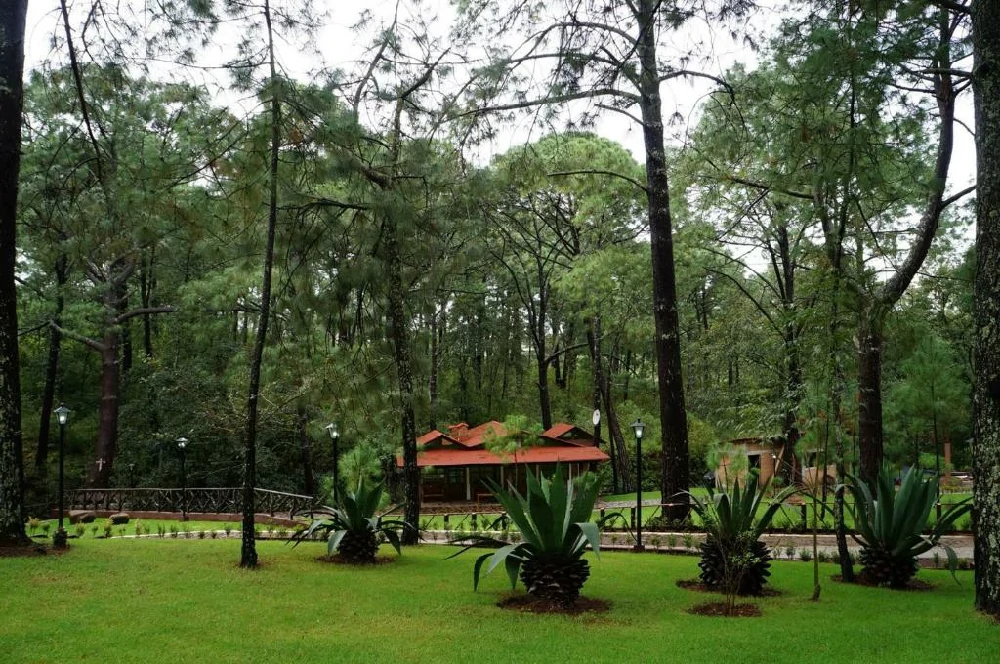 Habitación con jacuzzi en hotel rincon-del-bosque en Mazamitla, Jalisco