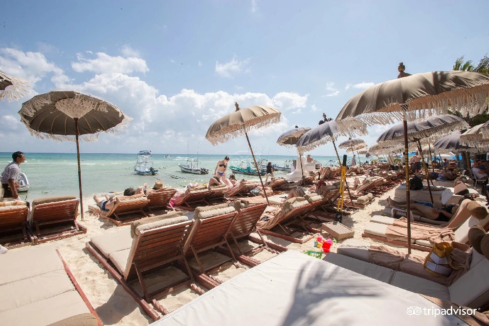 Hoteles románticos todo incluido the-palm-at-playa en Playa del Carmen, Quintana Roo