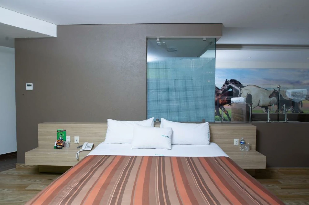 Habitación con jacuzzi en hotel xcoco-inn en Texcoco de Mora, Estado de México